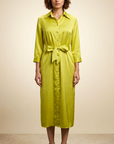 Lime Light Dress