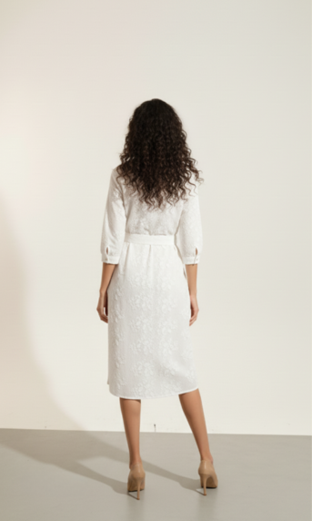 The Élan Embroidered Dress